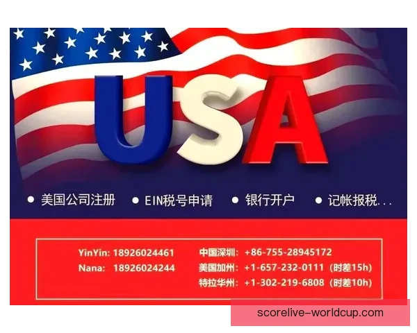 世界杯赛事全解析与精准竞猜投注策略全面指南