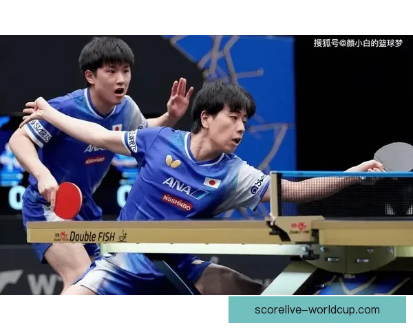 桥本首战止步八强痛哭 日媒关注世二落败全队出局